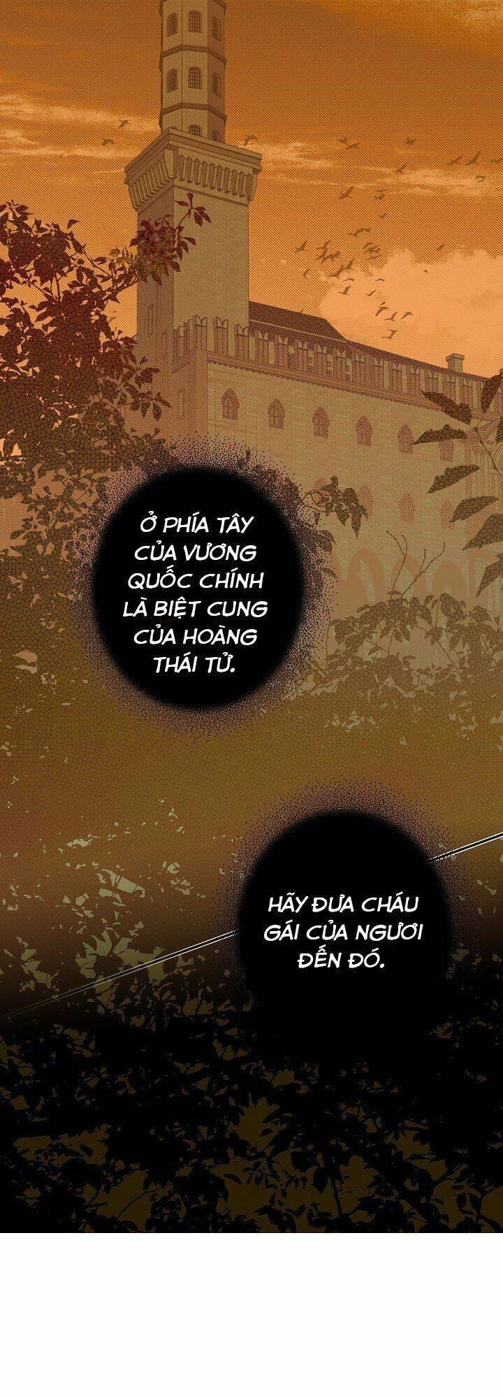 Bí Mật Của Quý Cô Chapter 7 - 2