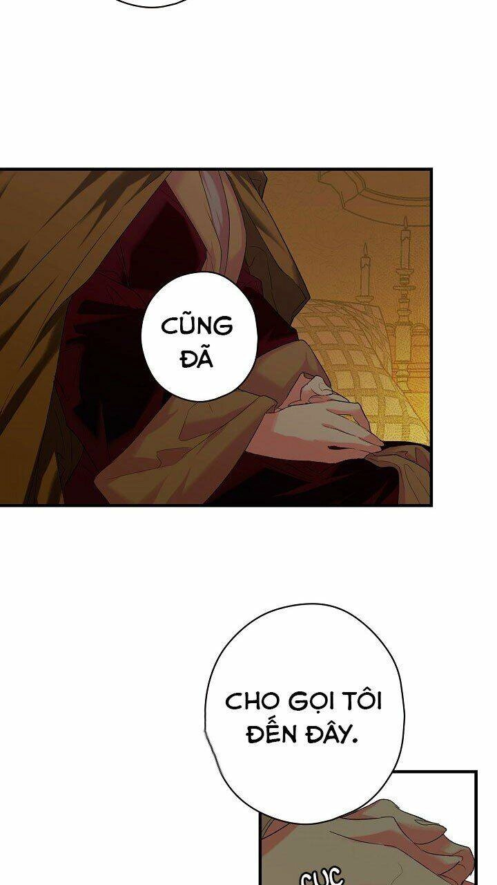 Bí Mật Của Quý Cô Chapter 7 - 22