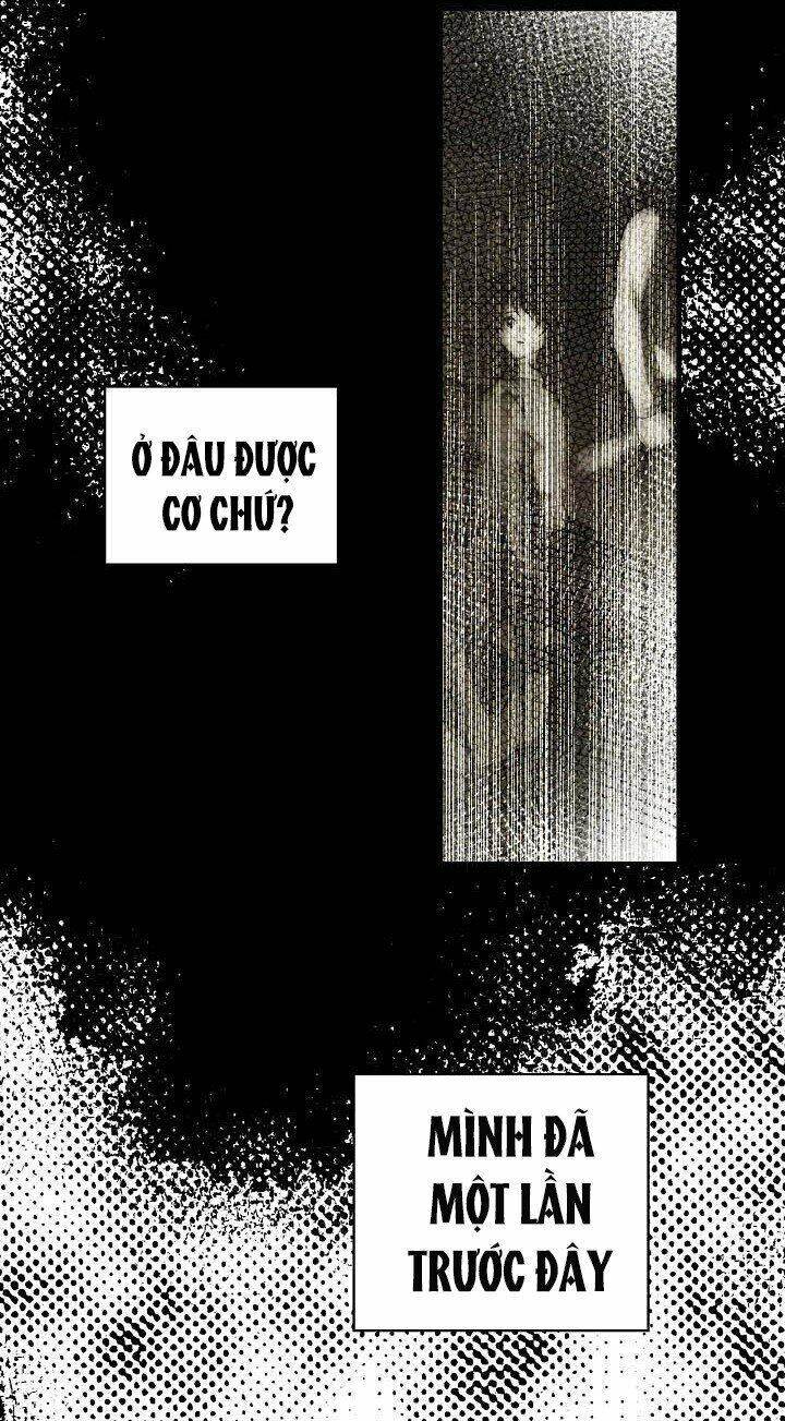 Bí Mật Của Quý Cô Chapter 8 - 12