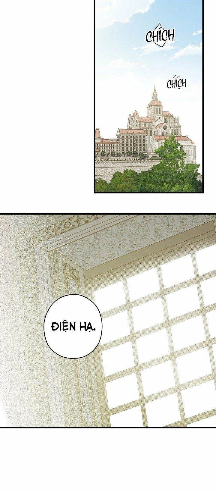 Bí Mật Của Quý Cô Chapter 10 - 12