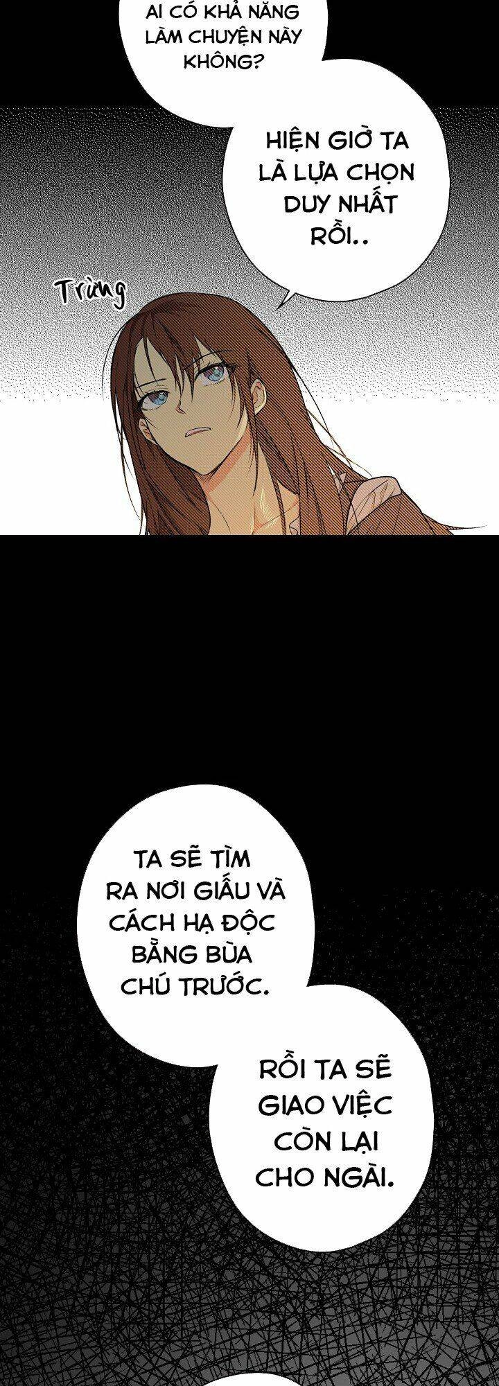 Bí Mật Của Quý Cô Chapter 11 - 29