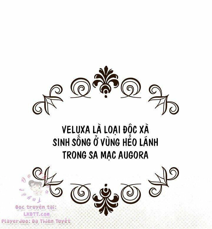 Bí Mật Của Quý Cô Chapter 15 - 21