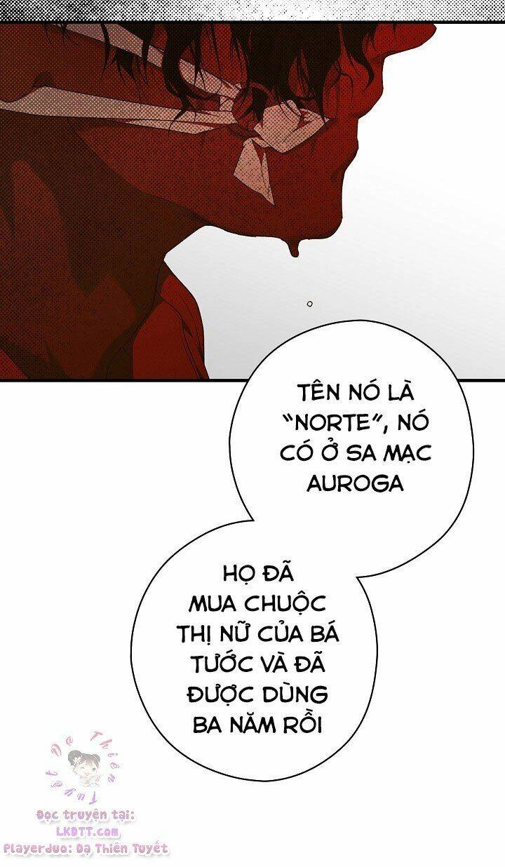 Bí Mật Của Quý Cô Chapter 15 - 50