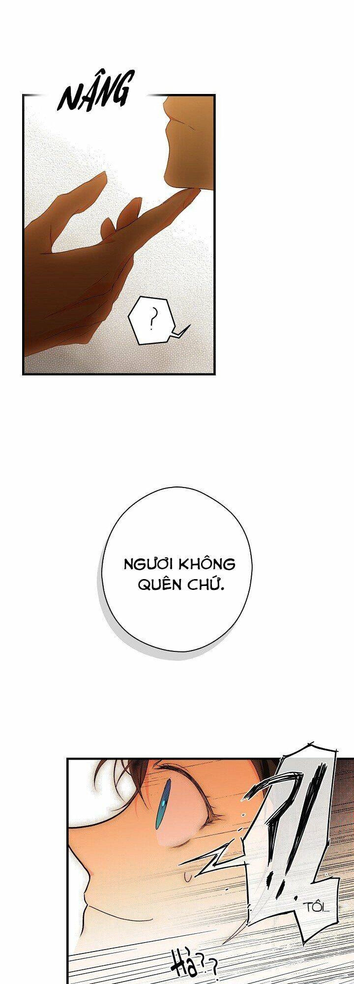 Bí Mật Của Quý Cô Chapter 16 - 8