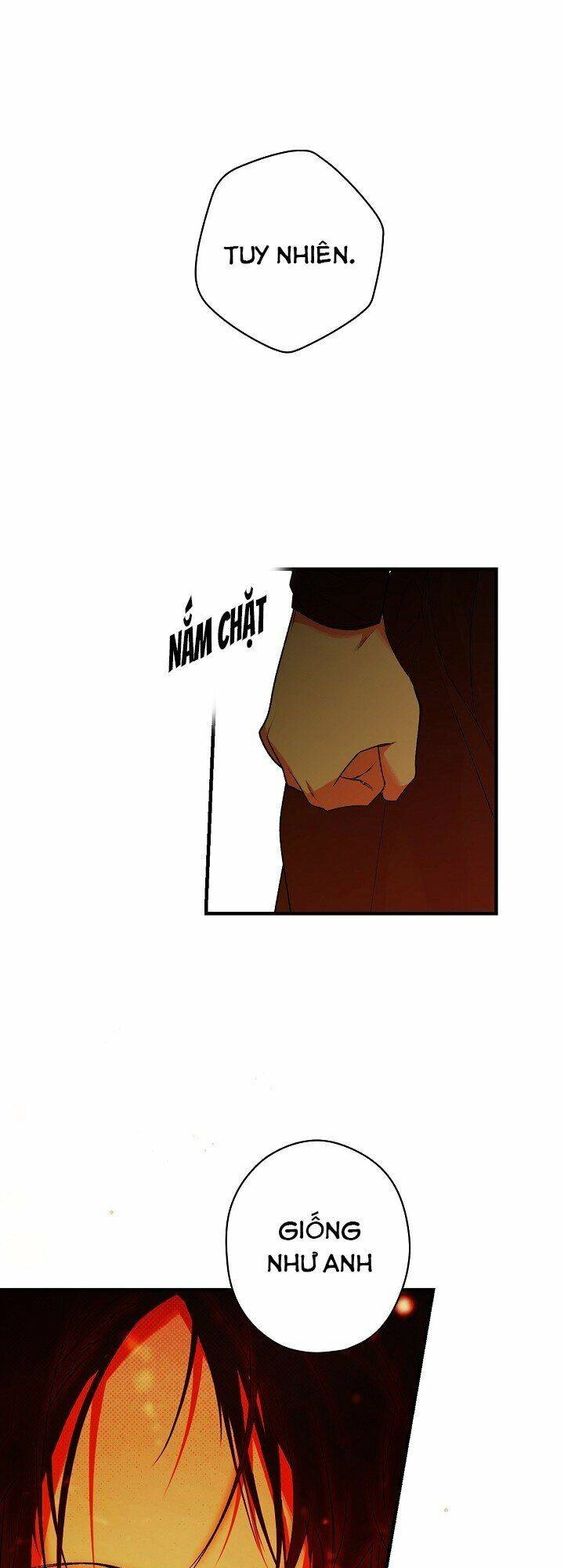 Bí Mật Của Quý Cô Chapter 16 - 36