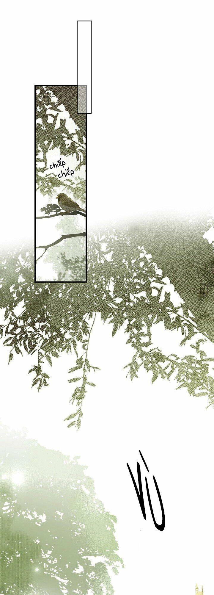 Bí Mật Của Quý Cô Chapter 16 - 40