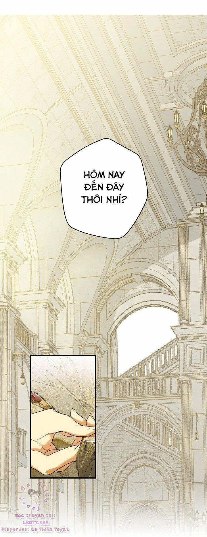 Bí Mật Của Quý Cô Chapter 17 - 27