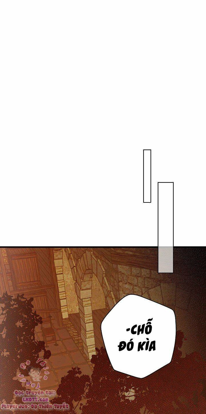 Bí Mật Của Quý Cô Chapter 18 - 20