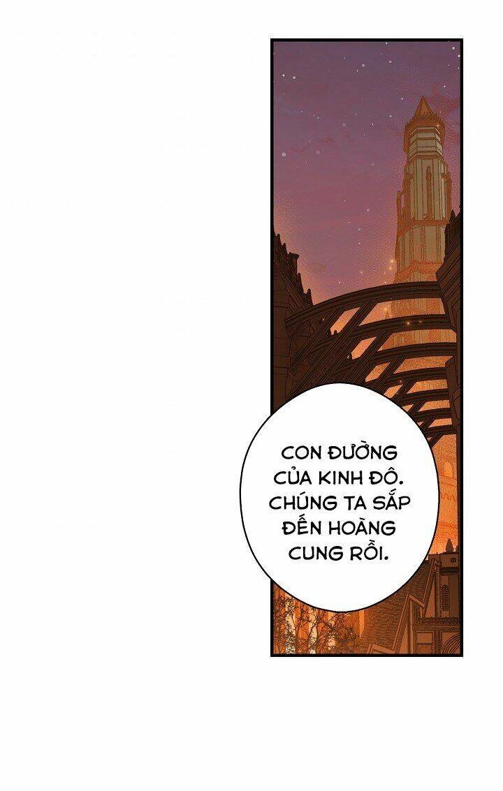 Bí Mật Của Quý Cô Chapter 20 - 7