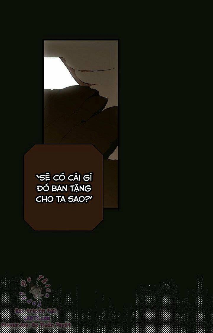 Bí Mật Của Quý Cô Chapter 22 - 10