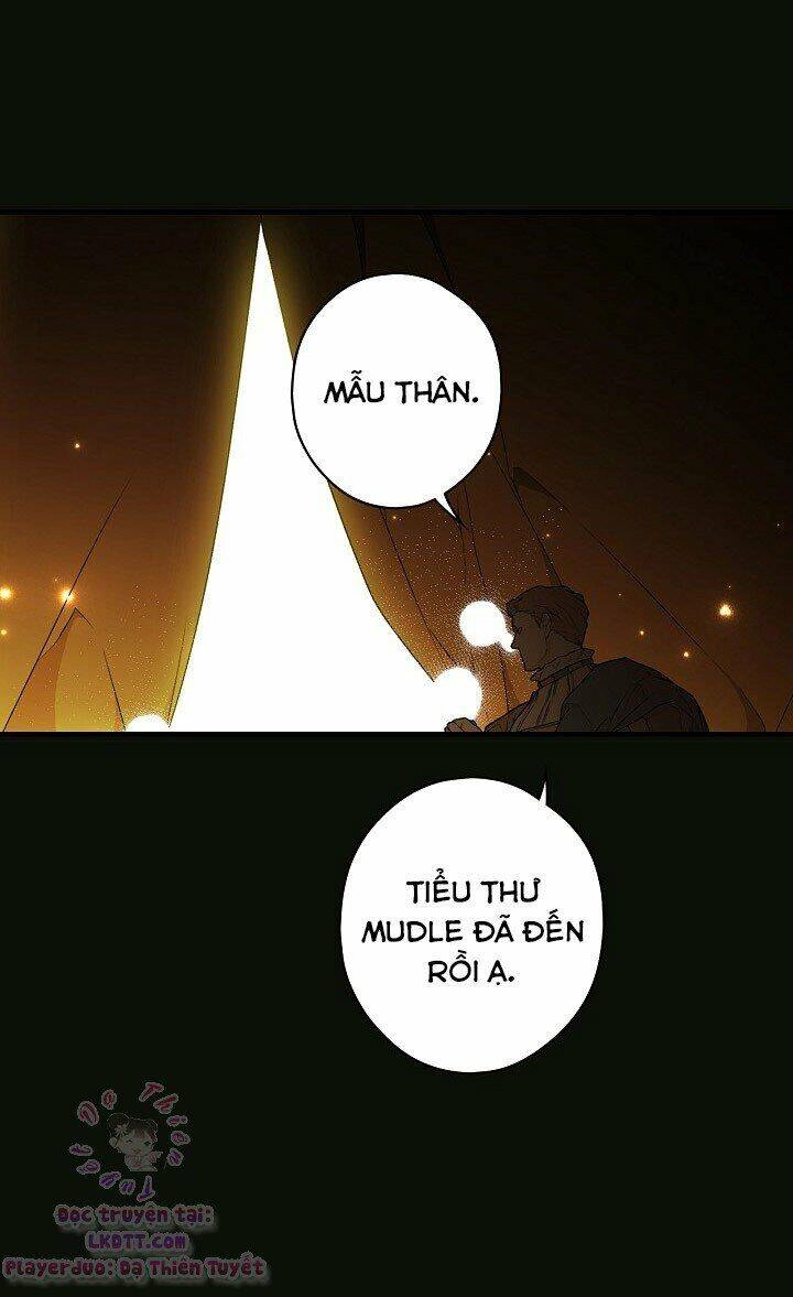 Bí Mật Của Quý Cô Chapter 22 - 19