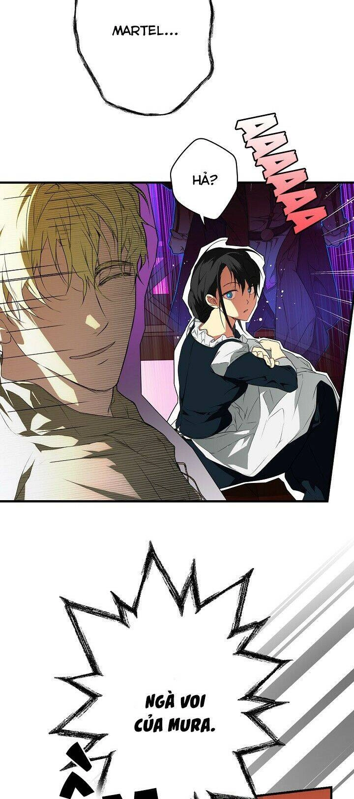 Bí Mật Của Quý Cô Chapter 23 - 20