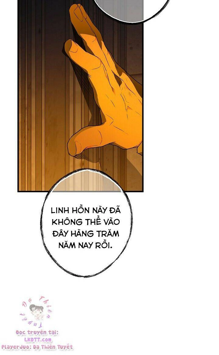 Bí Mật Của Quý Cô Chapter 23 - 62