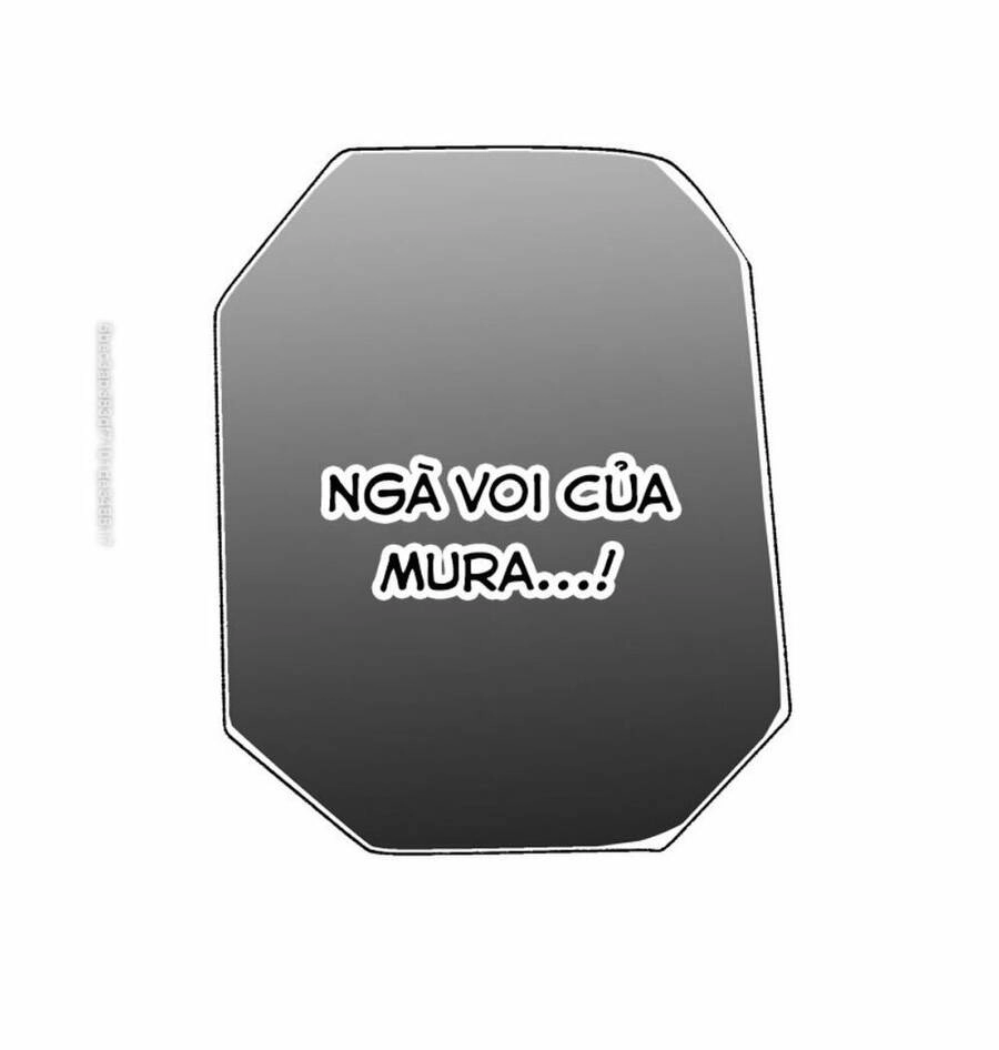 Bí Mật Của Quý Cô Chapter 24 - 63