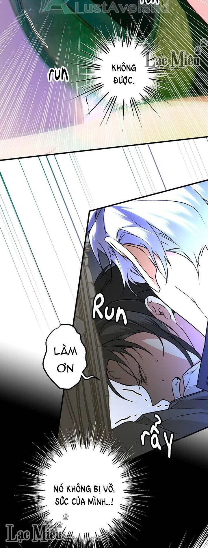 Bí Mật Của Quý Cô Chapter 27 - 20