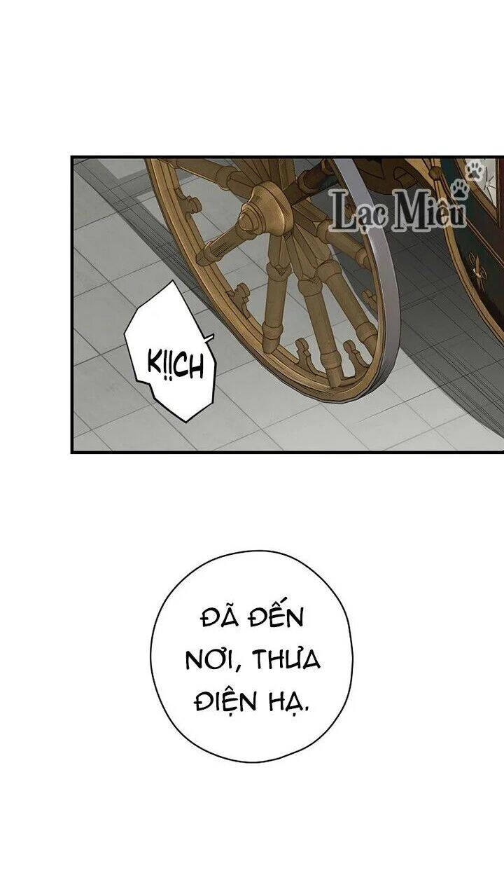 Bí Mật Của Quý Cô Chapter 29 - 24