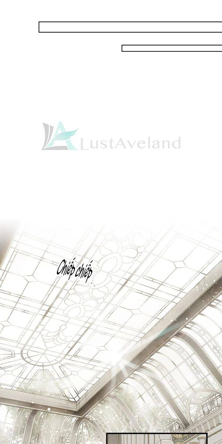 Bí Mật Của Quý Cô Chapter 29.5 - 11