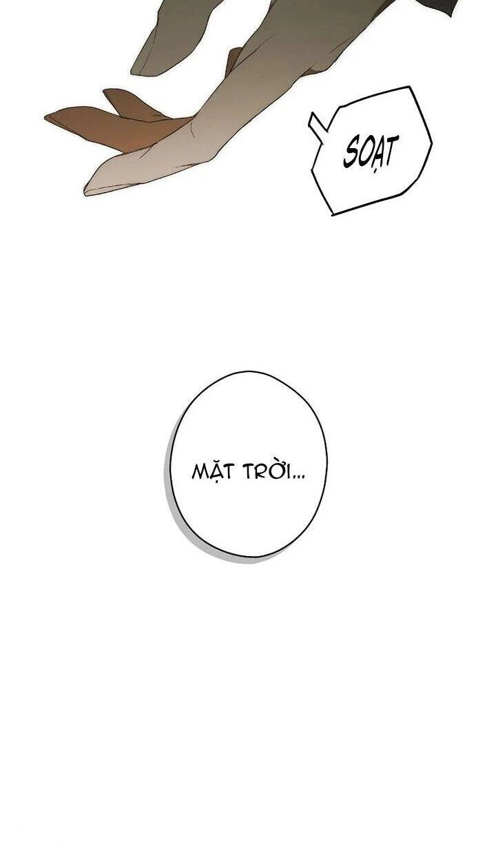 Bí Mật Của Quý Cô Chapter 31 - 21