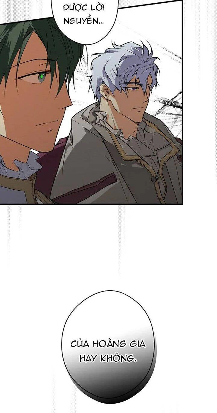 Bí Mật Của Quý Cô Chapter 31.5 - 12