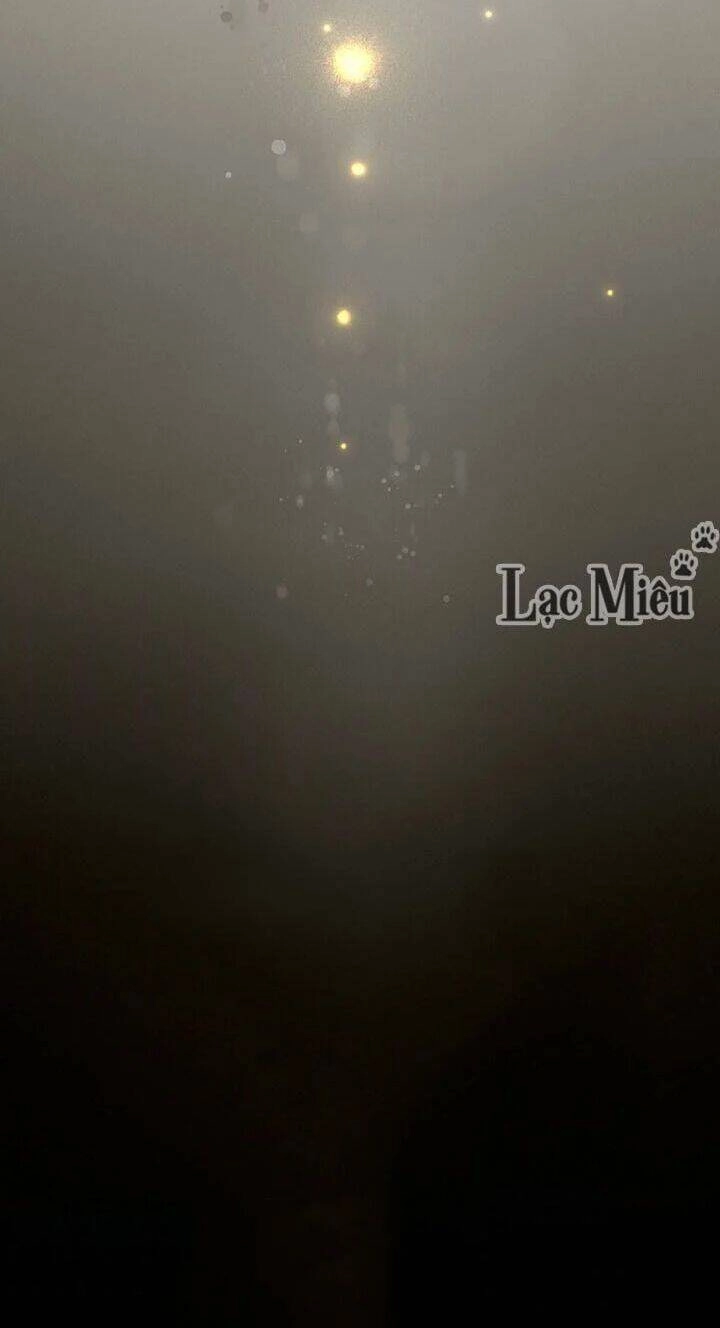 Bí Mật Của Quý Cô Chapter 31.5 - 27