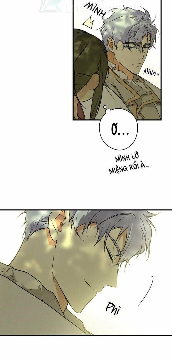 Bí Mật Của Quý Cô Chapter 32 - 19