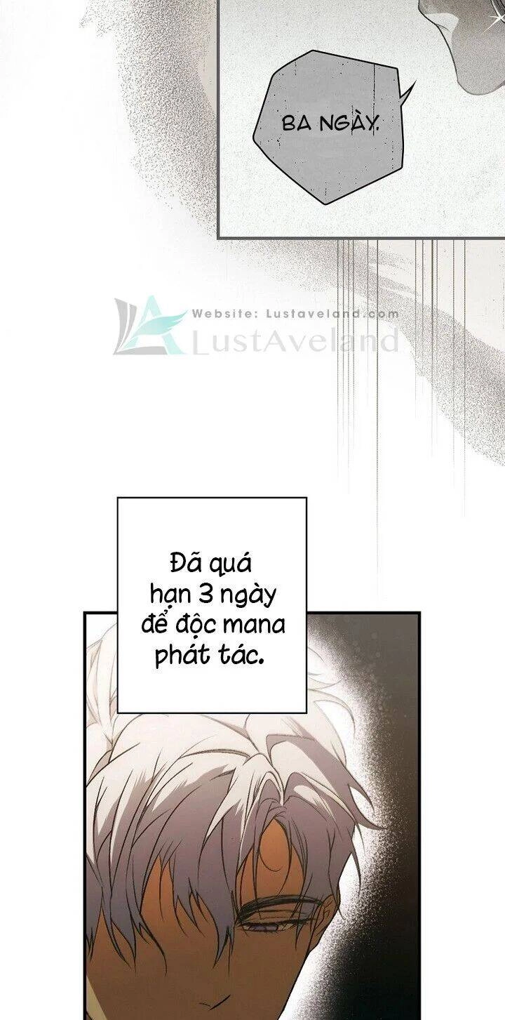 Bí Mật Của Quý Cô Chapter 33 - 11