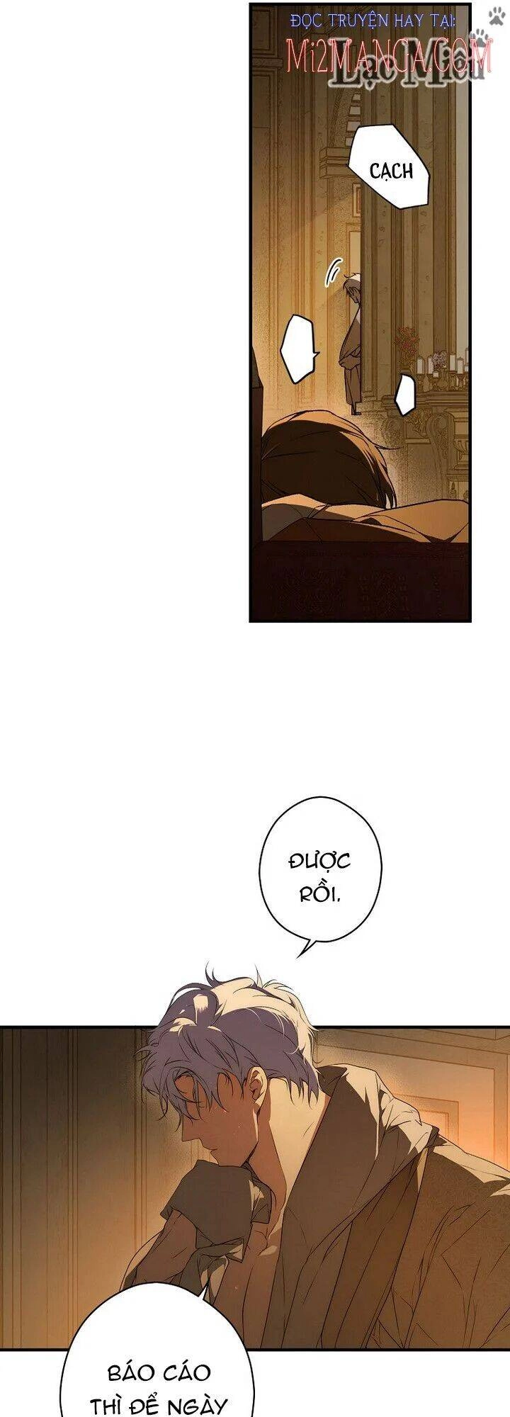 Bí Mật Của Quý Cô Chapter 35 - 25