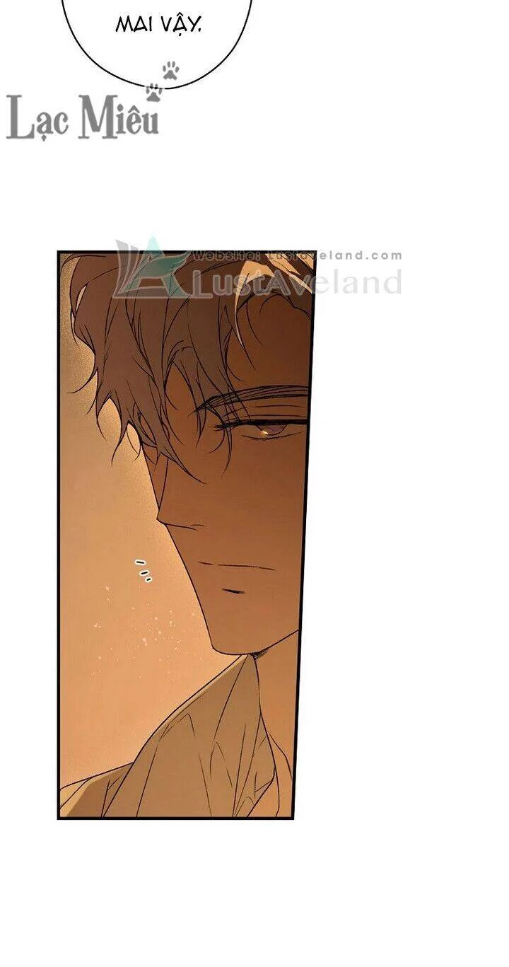 Bí Mật Của Quý Cô Chapter 35 - 26