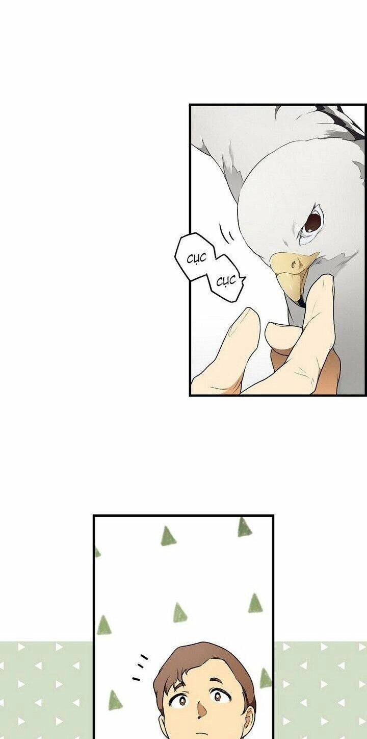 Bí Mật Của Quý Cô Chapter 36 - 12