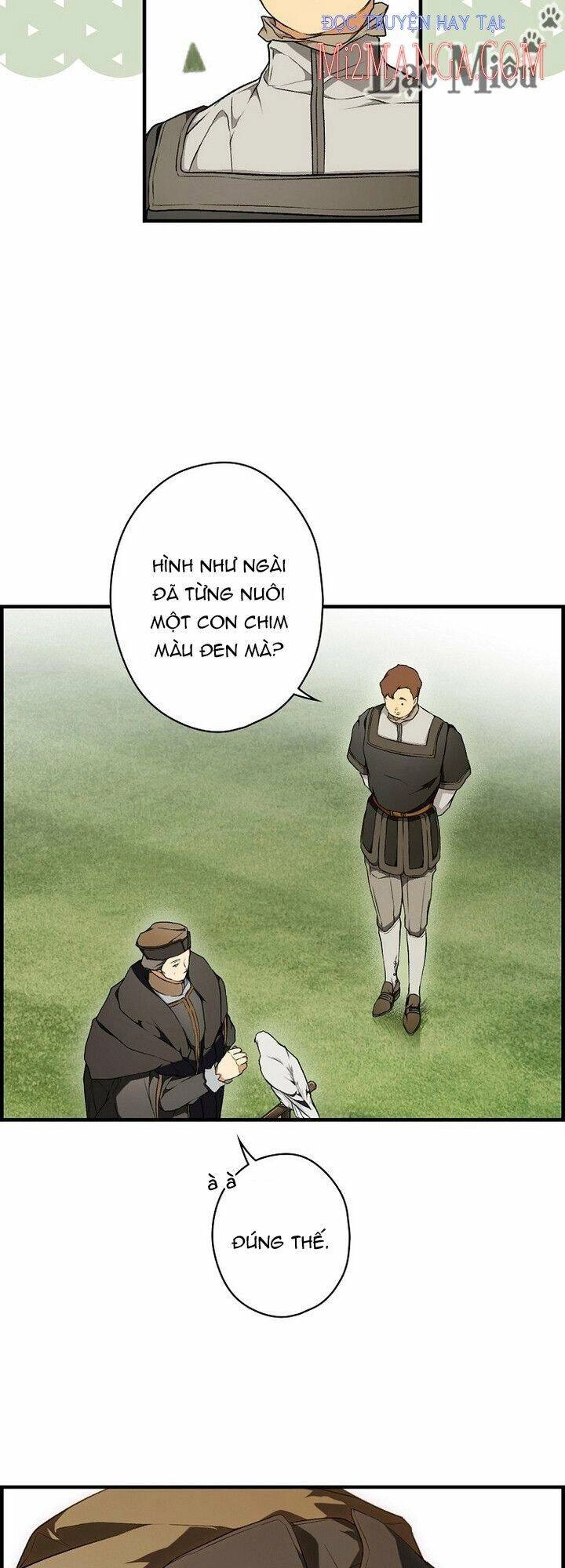 Bí Mật Của Quý Cô Chapter 36 - 13