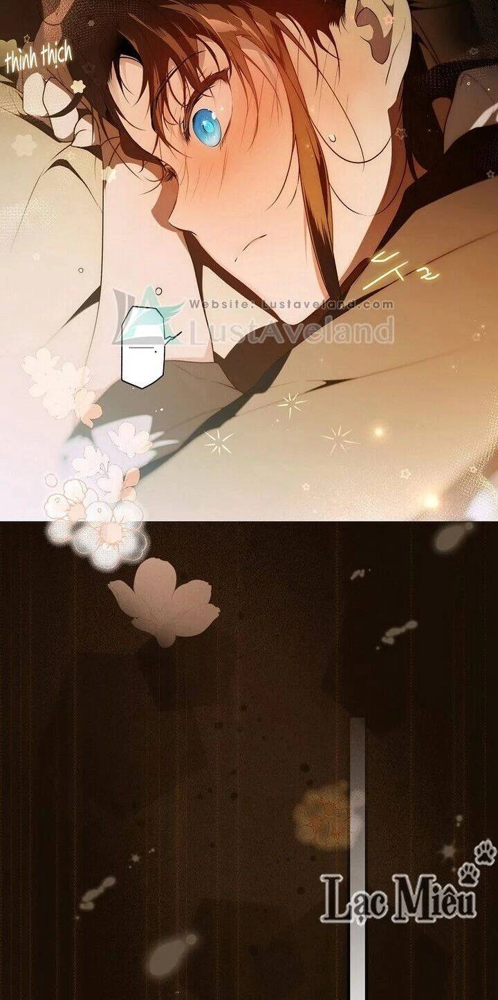 Bí Mật Của Quý Cô Chapter 36.5 - 5