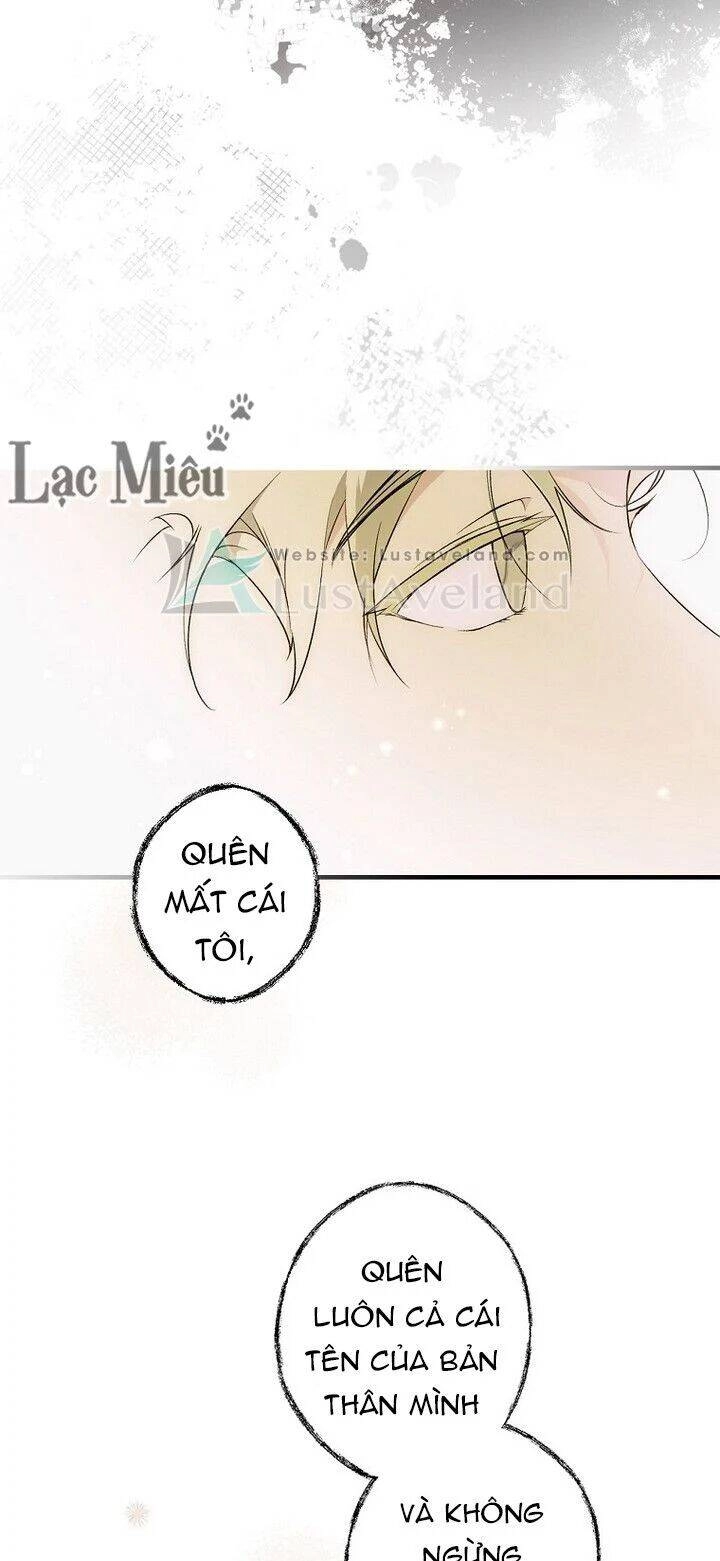 Bí Mật Của Quý Cô Chapter 37 - 8