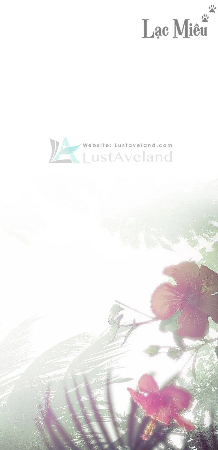 Bí Mật Của Quý Cô Chapter 37.5 - 2