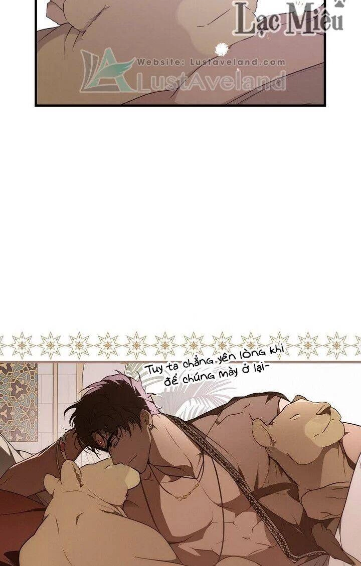 Bí Mật Của Quý Cô Chapter 37.5 - 8