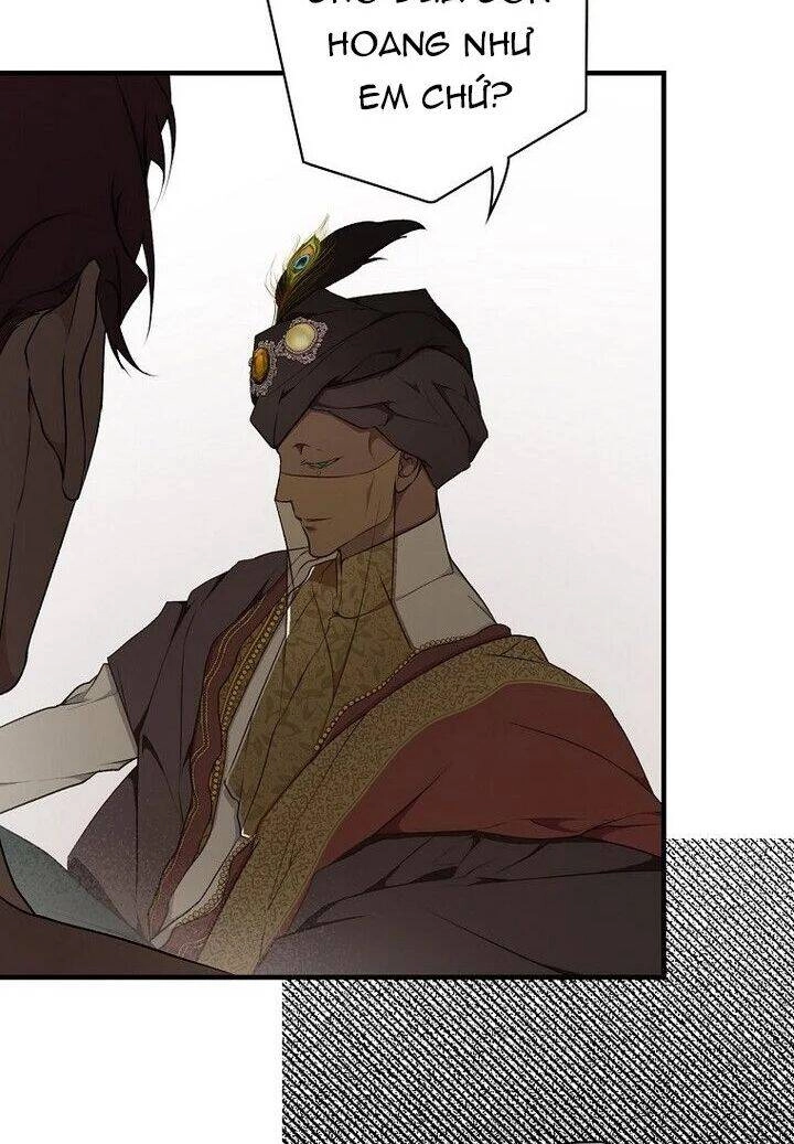 Bí Mật Của Quý Cô Chapter 37.5 - 18