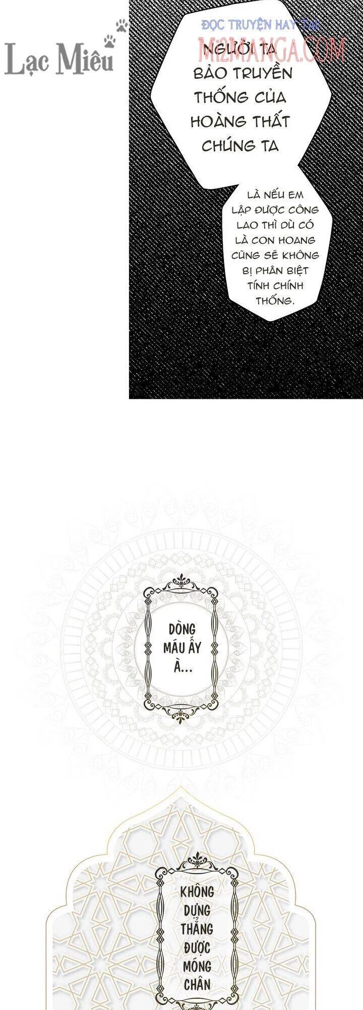 Bí Mật Của Quý Cô Chapter 37.5 - 19