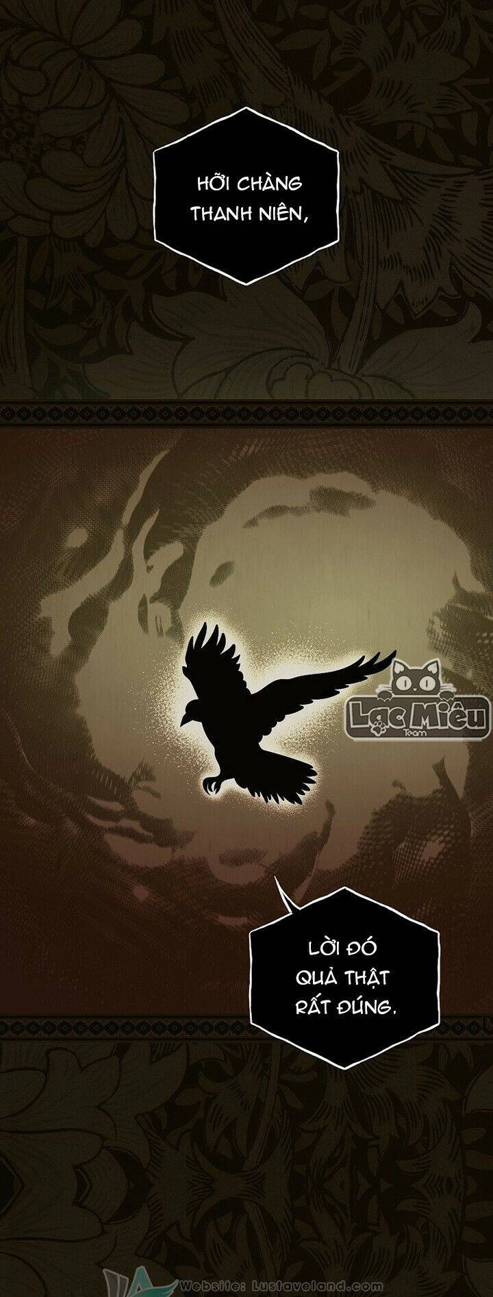 Bí Mật Của Quý Cô Chapter 48 - 15