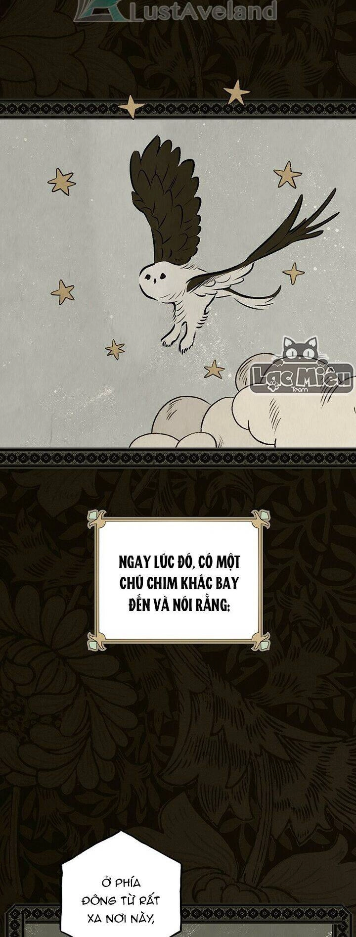 Bí Mật Của Quý Cô Chapter 48 - 20