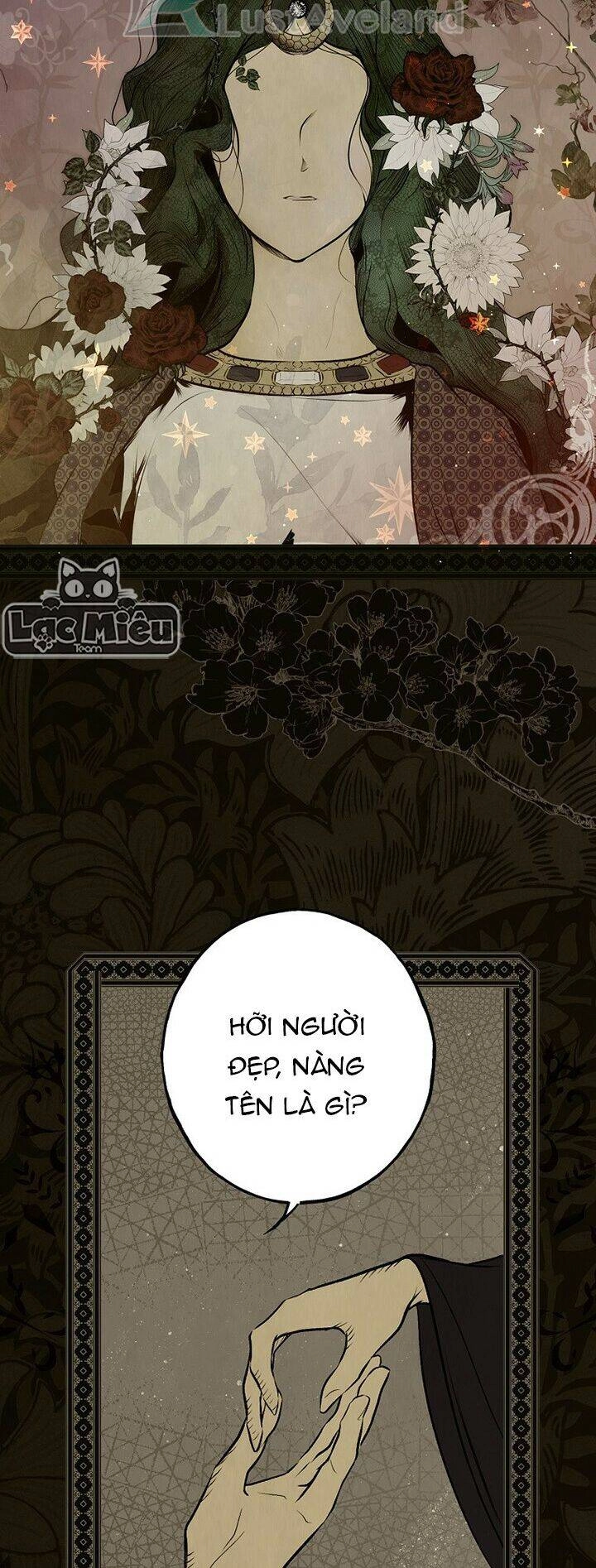 Bí Mật Của Quý Cô Chapter 48.5 - 2