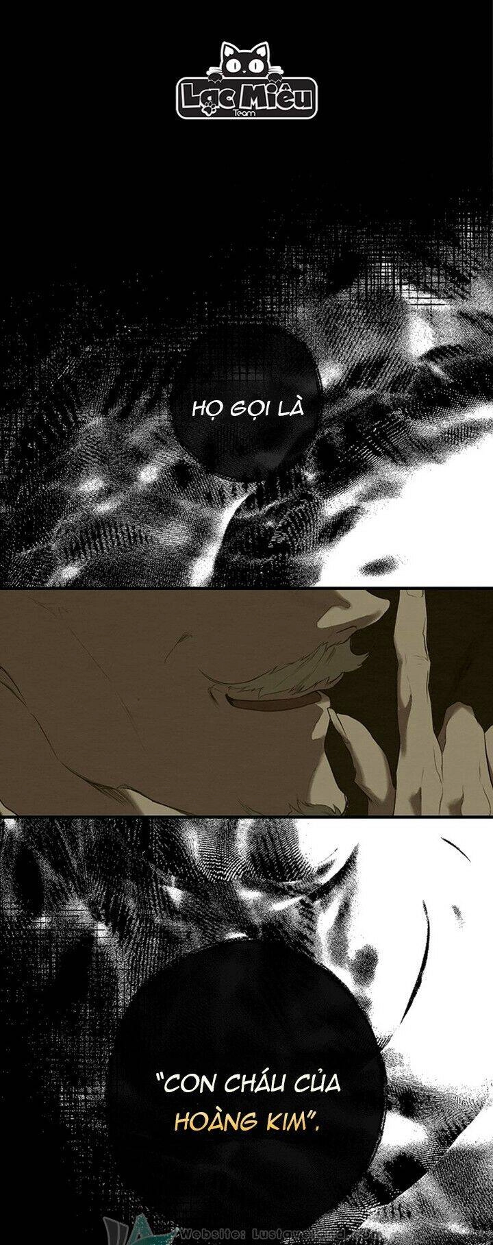 Bí Mật Của Quý Cô Chapter 49 - 1