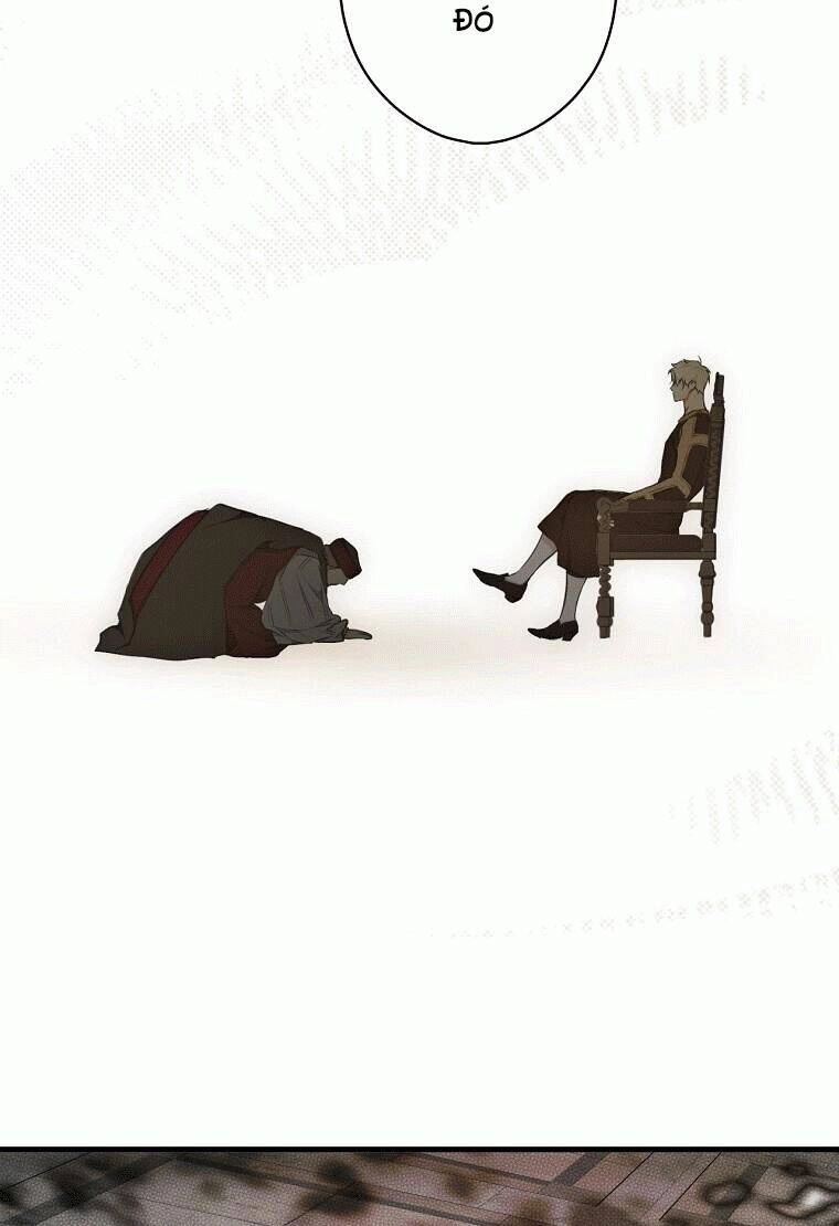 Bí Mật Của Quý Cô Chapter 53.5 - 12