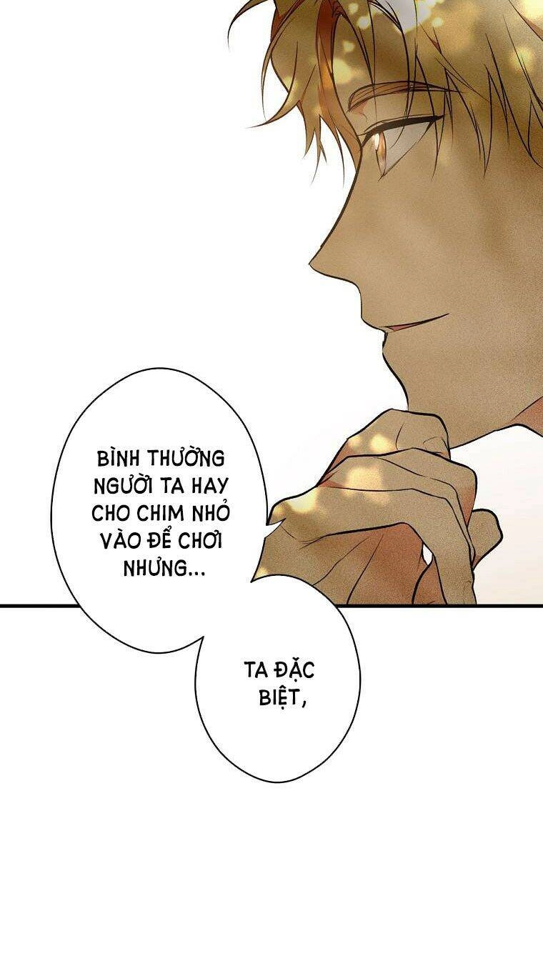 Bí Mật Của Quý Cô Chapter 55 - 25