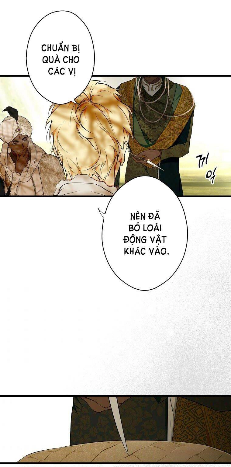 Bí Mật Của Quý Cô Chapter 55 - 26