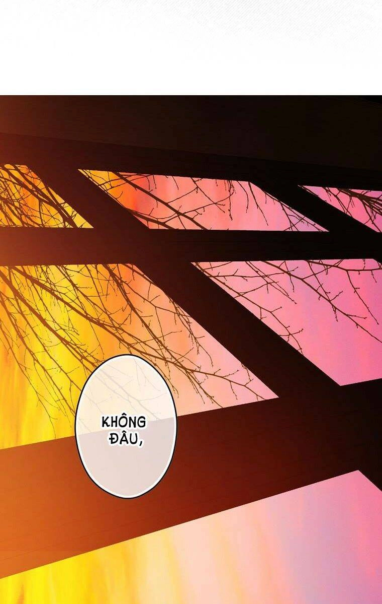 Bí Mật Của Quý Cô Chapter 59.5 - 20