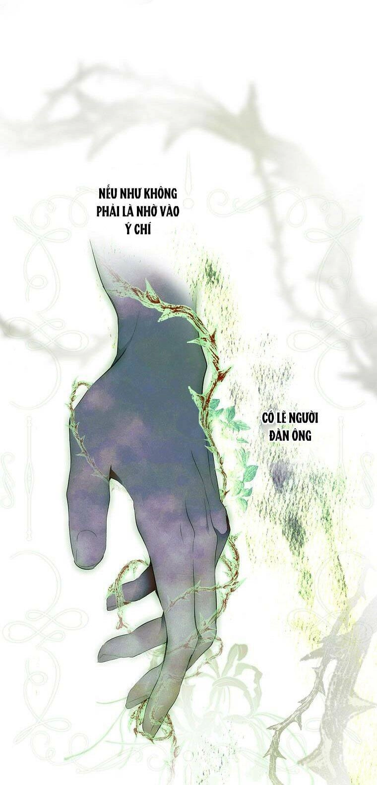 Bí Mật Của Quý Cô Chapter 60.5 - 31