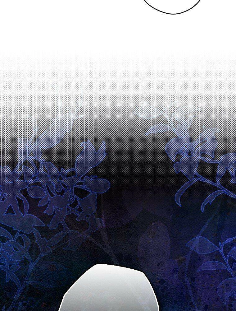 Bí Mật Của Quý Cô Chapter 61 - 51