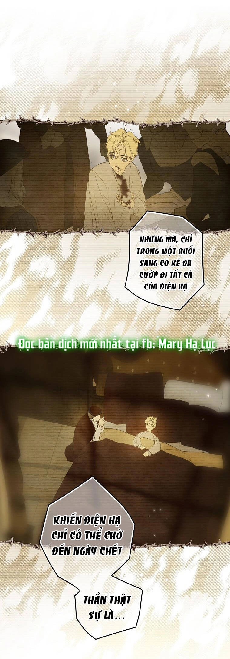 Bí Mật Của Quý Cô Chapter 66.2 - 24