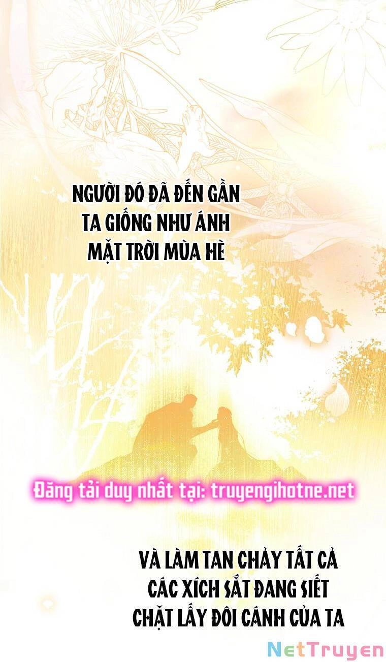 Bí Mật Của Quý Cô Chapter 68.1 - 12