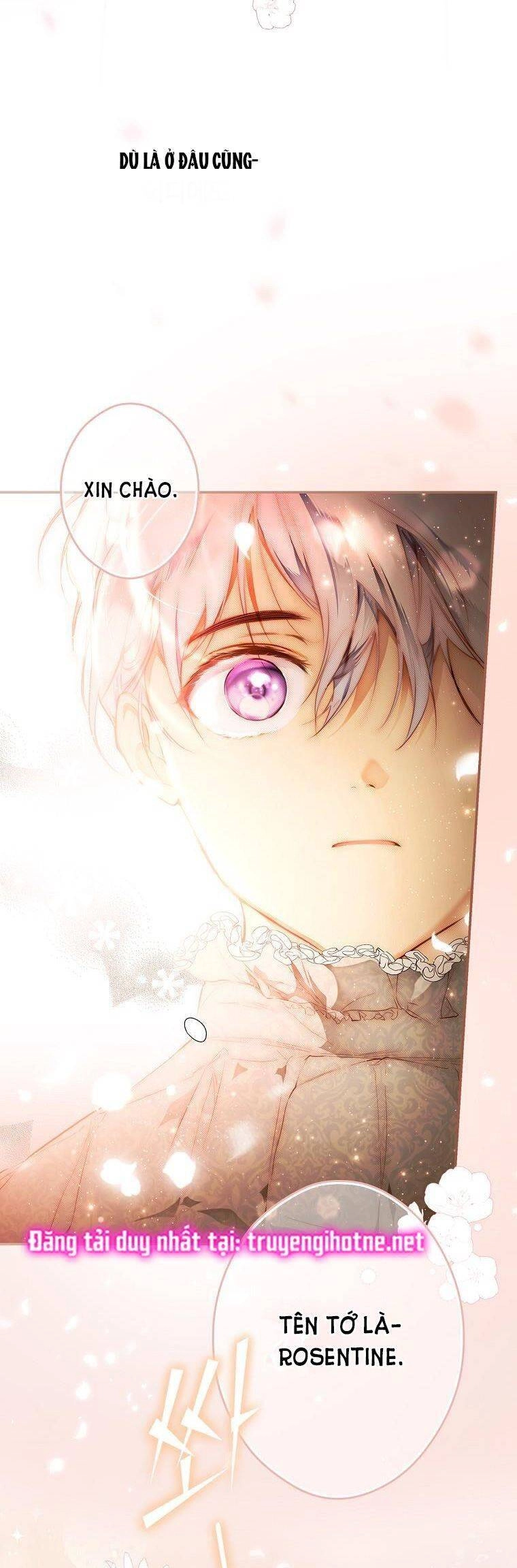 Bí Mật Của Quý Cô Chapter 70 - 28