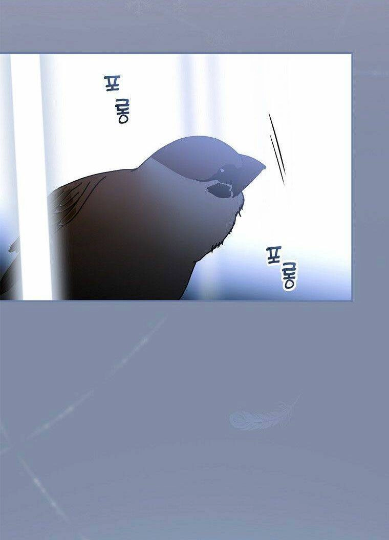 Bí Mật Của Quý Cô Chapter 72.5 - 30